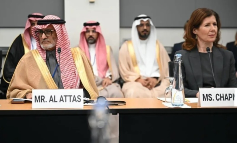 دعم السعودية لليمن: استقرار وتنمية في بيئات النزاع