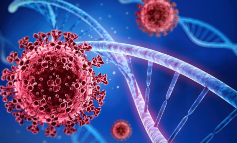 فيروس كورونا جديد بالبرازيل: هل يهدد البشرية؟