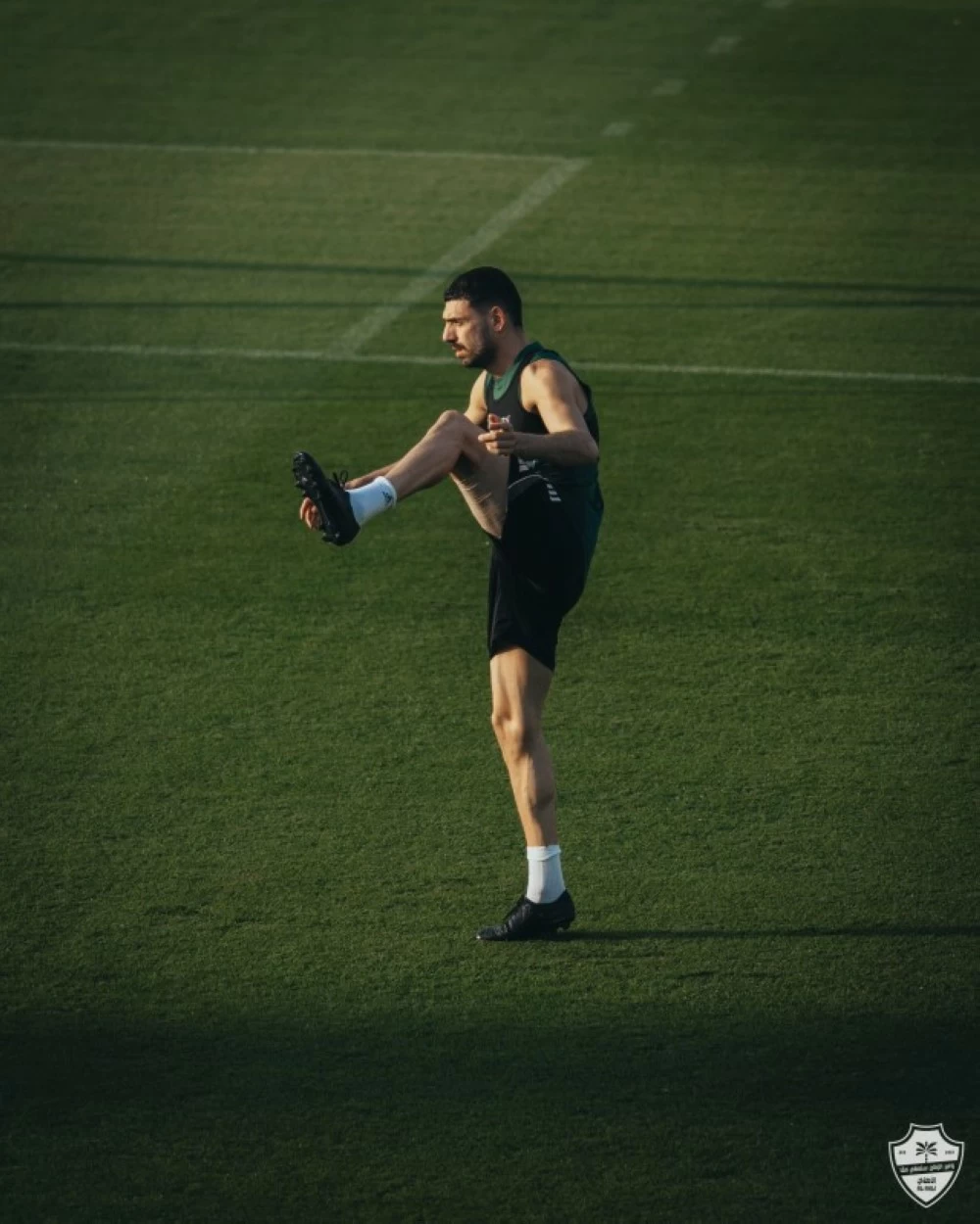 عودة ميريح ديميرال للأهلي: دفعة قوية لدفاع الفريق بدوري روشن