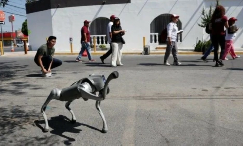 تأمين مونديال 2026: المكسيك تنشر كلاباً آلية لأول مرة