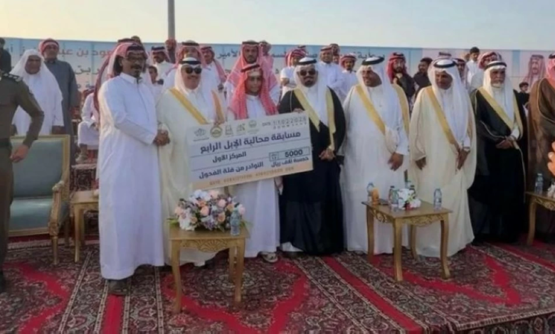 مسابقة نوادر الإبل في الحجرة: إحياء للتراث السعودي الأصيل