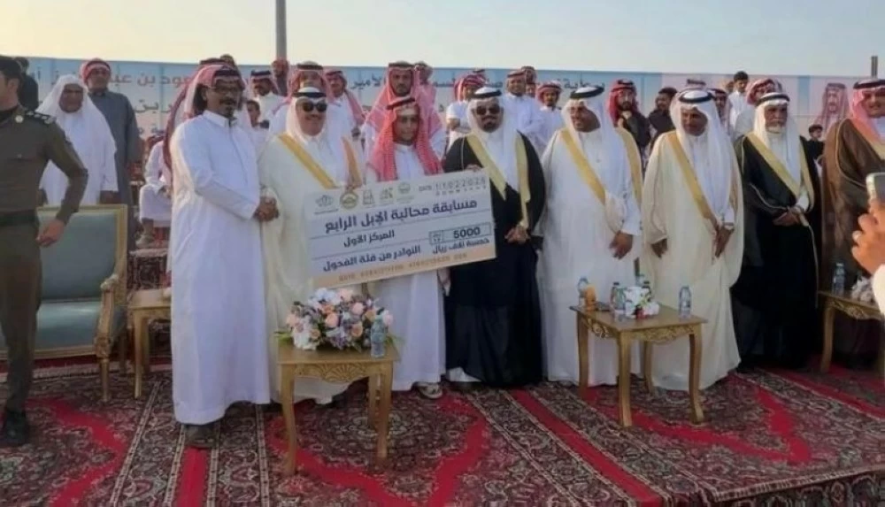 مسابقة نوادر الإبل في الحجرة: إحياء للتراث السعودي الأصيل