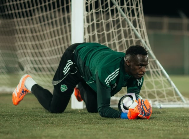 ميندي يتصدر حراس روشن بـ11 كلين شيت.. قوة الأهلي الدفاعية