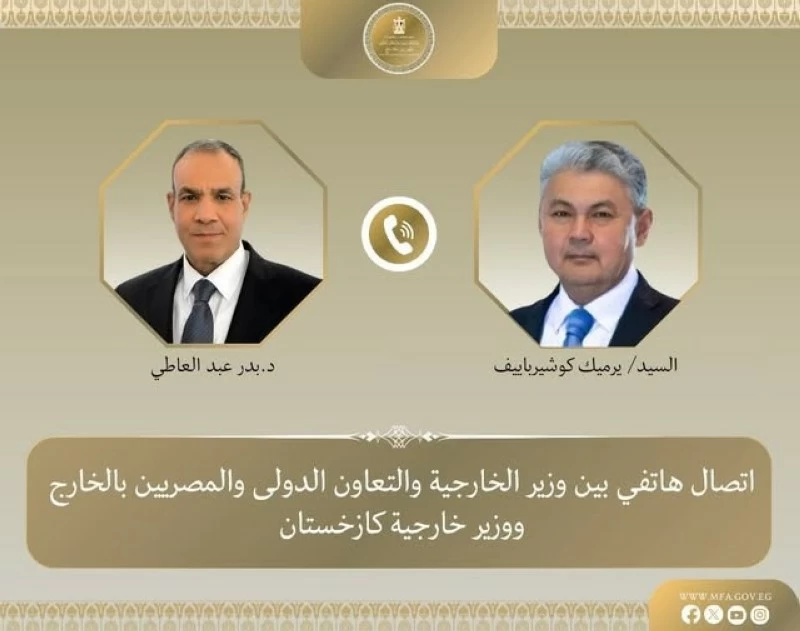 وزير الخارجية المصري يدعو لخفض التصعيد وتغليب الدبلوماسية