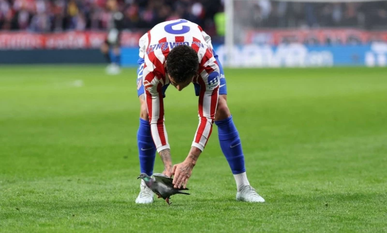 حمامة توقف مباراة لاليغا: حادثة غريبة في أتلتيكو مدريد