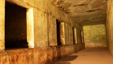 اليمن: 6861 انتهاكًا لحقوق الإنسان من مليشيا الزبيدي