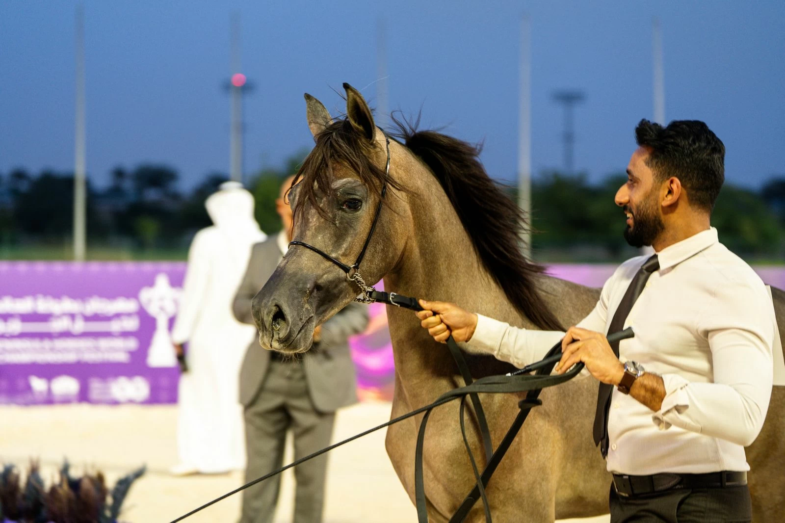 انطلاق بطولة العالم لخيل الجزيرة 2026 بمشاركة 340 جواداً