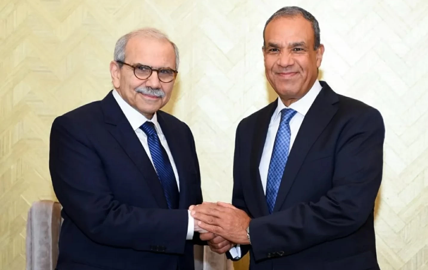 مصر تطالب بانسحاب إسرائيلي كامل من لبنان لدعم سيادته