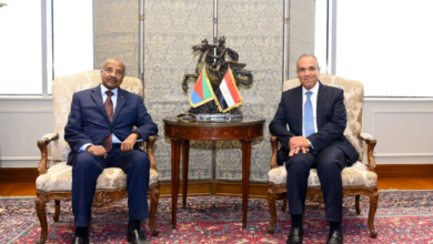 تحرك مصري إريتري: تنسيق استراتيجي لأمن البحر الأحمر