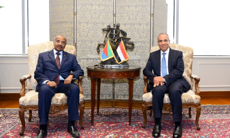 تحرك مصري إريتري: تنسيق استراتيجي لأمن البحر الأحمر