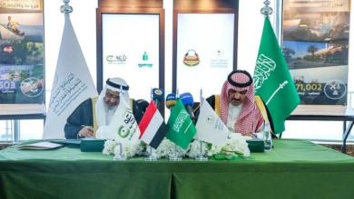 الدعم السعودي للتعليم في اليمن: طوق نجاة لمستقبل الأجيال