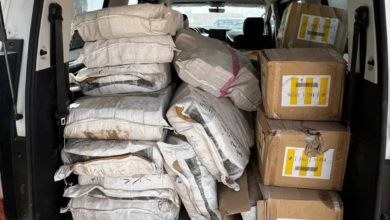 الأموال المنهوبة في العراق: تقرير يكشف عن 309 مزارع لإخفائها