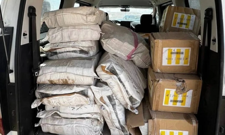 الأموال المنهوبة في العراق: تقرير يكشف عن 309 مزارع لإخفائها