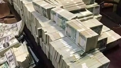 شقيقان عراقيان يهربان بـ500 مليون دولار.. والإنتربول يتدخل